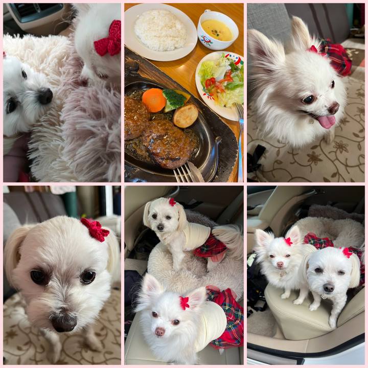 6592097f 358d 4745 9353 54788b065037 1676199877993