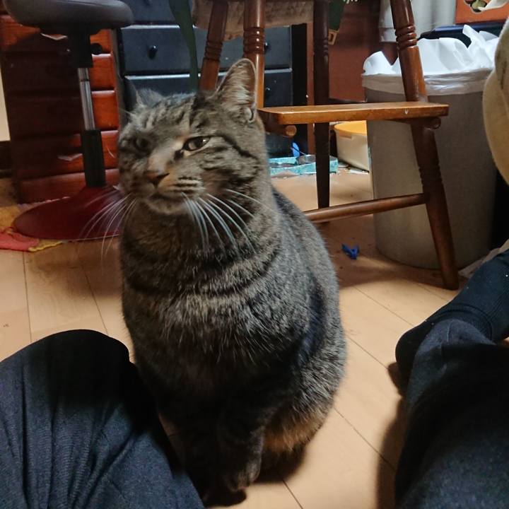 6592427e e6d2 4ac2 bede 832f45e7755e 1639911656455