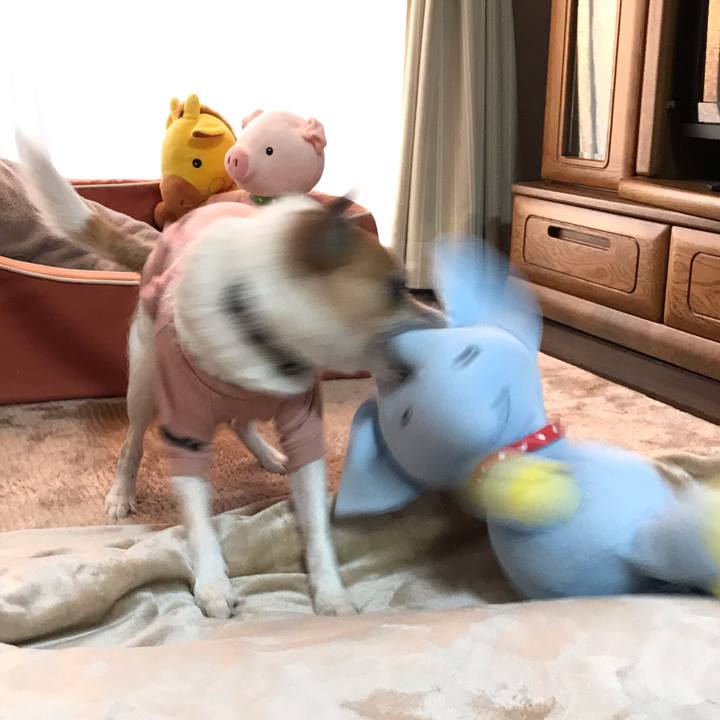 65925afd a46d 4cb7 a9fe 726ce0c51786 1548714148345