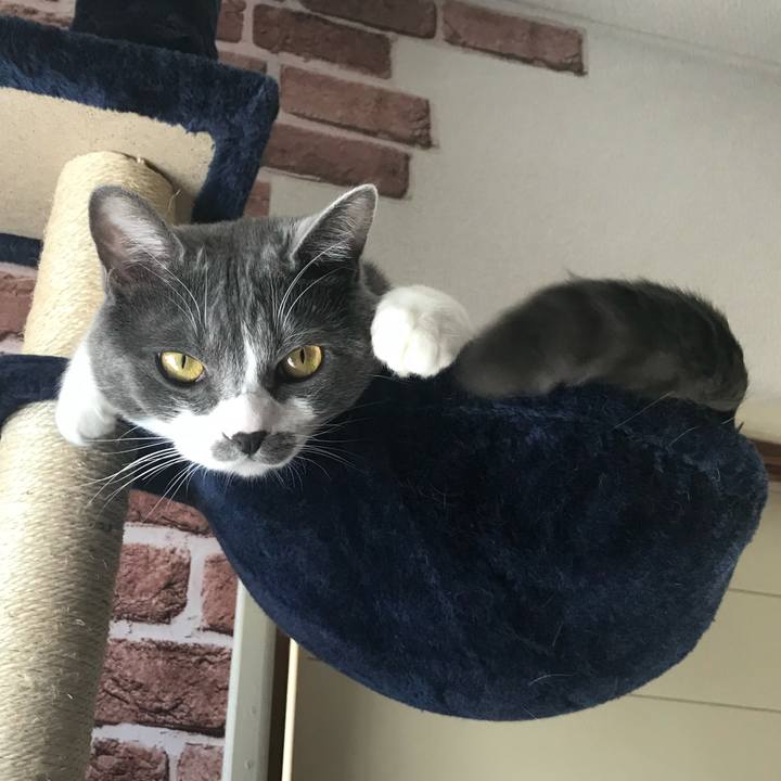 65925dae 8efd 4211 90f8 624bb141b949 1623309936811