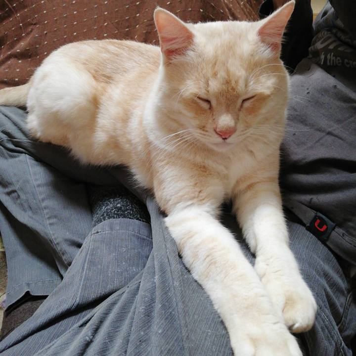 6592e7dd 377a 4209 91fc b779f96b5b20 1615587975126