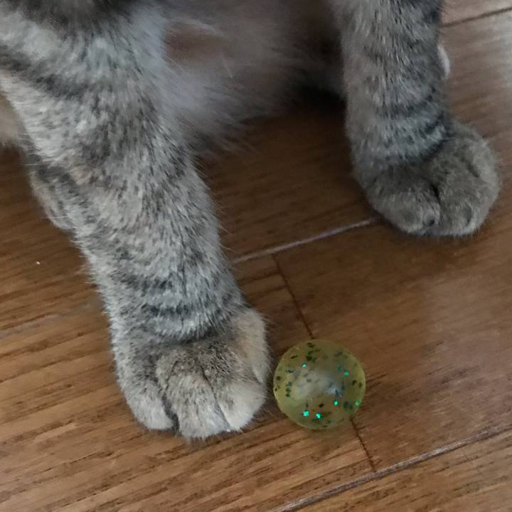 65932908 650b 4a5e 82f6 8af2f6a8df1f 1591747965420