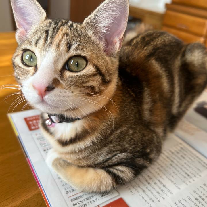 65932f43 292f 42e9 9071 1aeed2fb7f5a 1698565170296