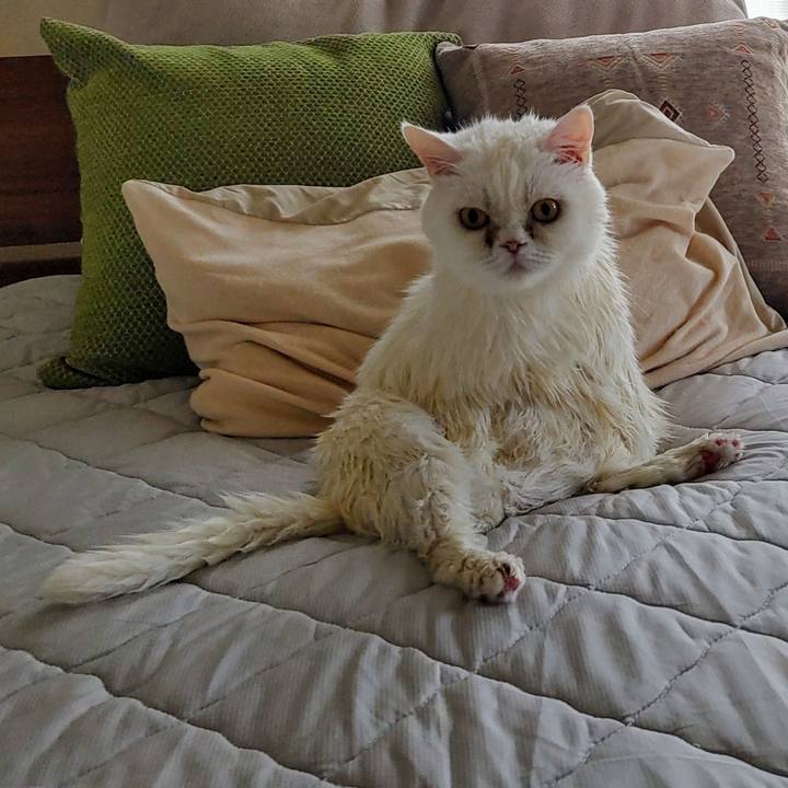 65933579 d159 45f3 bd6d d3a7f59b0a60 1714269629125