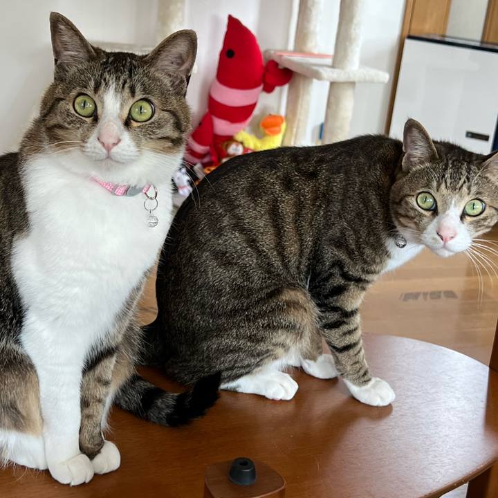 6593590e a99c 4846 a668 c95fa8e4d55f 1719835782433