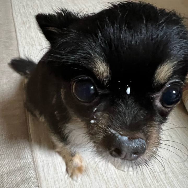 65935f70 91e2 4b0f 95dd b27afa378668 1656800915820