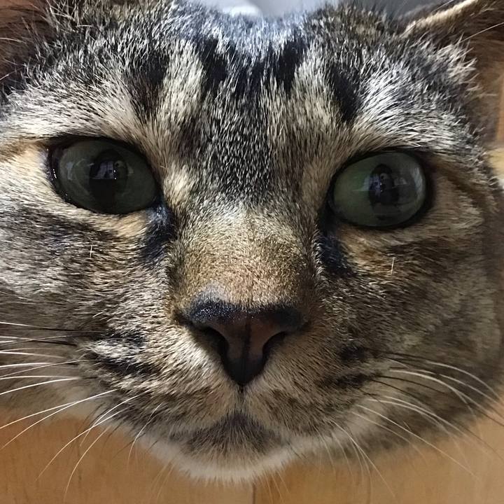 65937a96 d7e5 41fb be27 2055ba6ddbd7 1748605561379