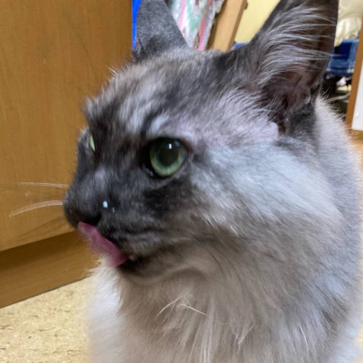 65938f93 627c 48be a1c0 f252898ede59 1714481295919