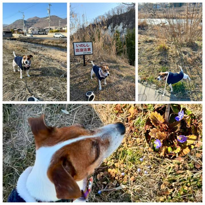 6593a721 8c76 4fe0 9ab0 bbeac0f946e4 1771146042123