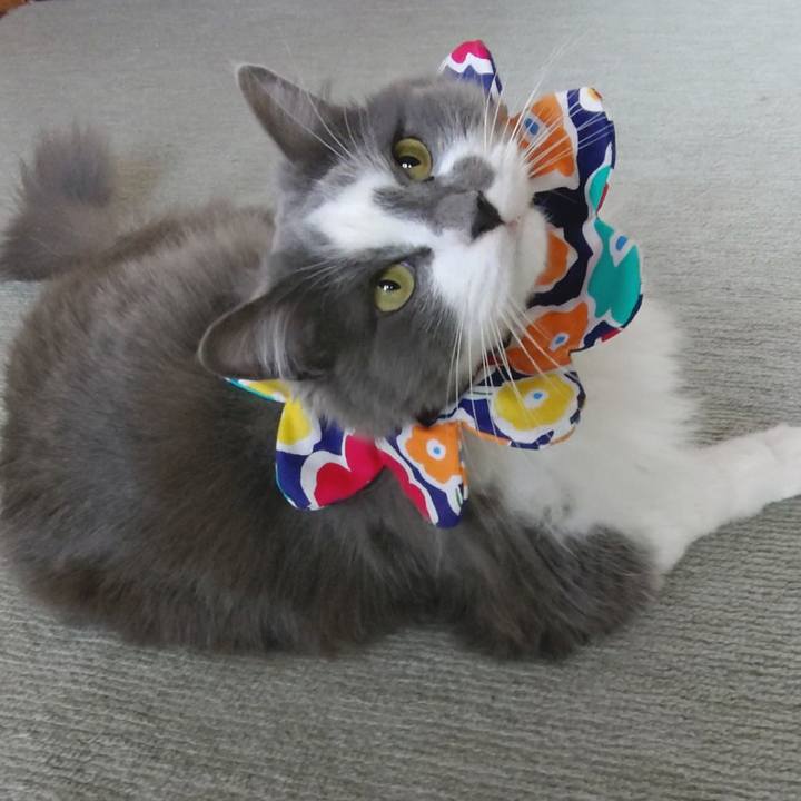 6593b598 6bf1 412b a3ce 8587842445e4 1619334067050