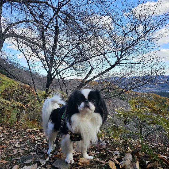 6593bc38 41ba 4de3 b06d 347eb04334d4 1732875965671