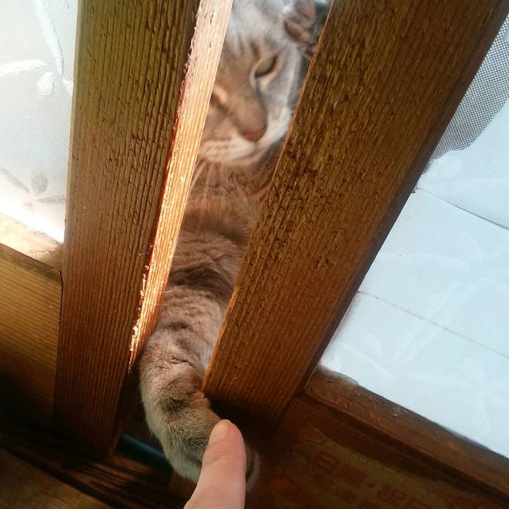 6593fa64 b47c 4203 8cb8 85929f3de553 1518404956623