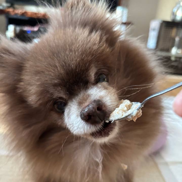 65942f48 1620 4aef 8d20 a070e1d4b5e1 1770680416830