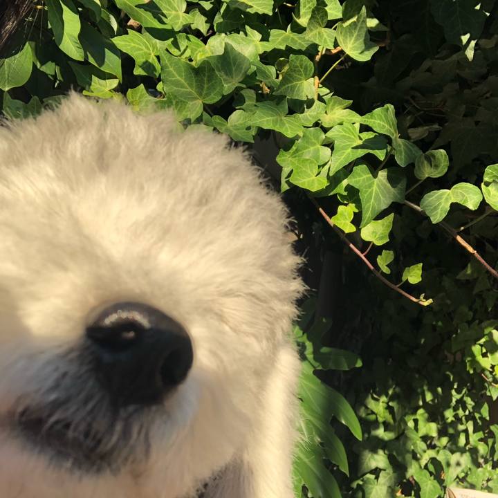 659455c2 d8fd 4b23 ba3d af0c652cbc03 1605962272167