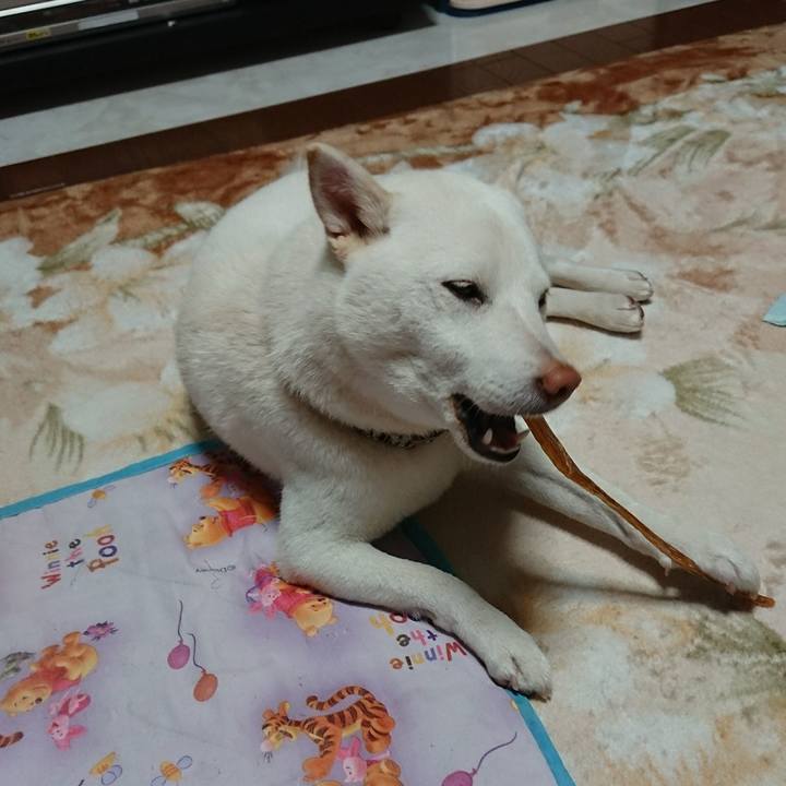 6594732c 7c51 41b0 b458 566027028486 1508062469914