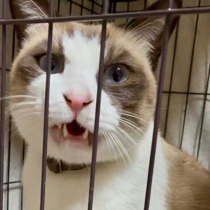 659489a6 e2b8 42d6 ba0b f88eed365aec 1763811034724