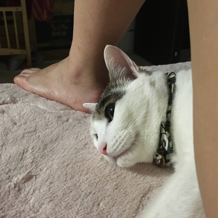 6594b9a8 b43b 4f53 aab4 af0b19c142ce 1518327745477