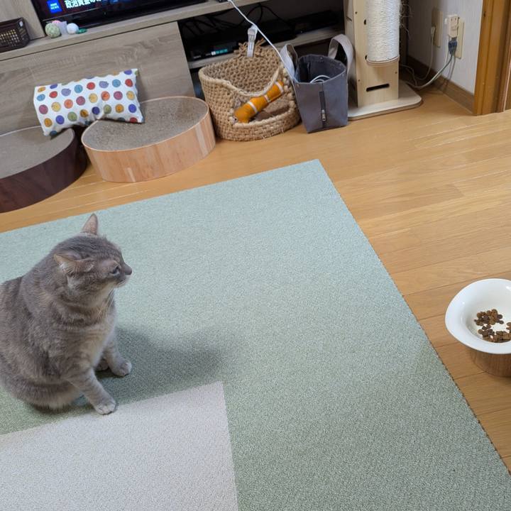 6594bbcb 8ca5 40b1 a0b5 7891f49f561e 1762673528432