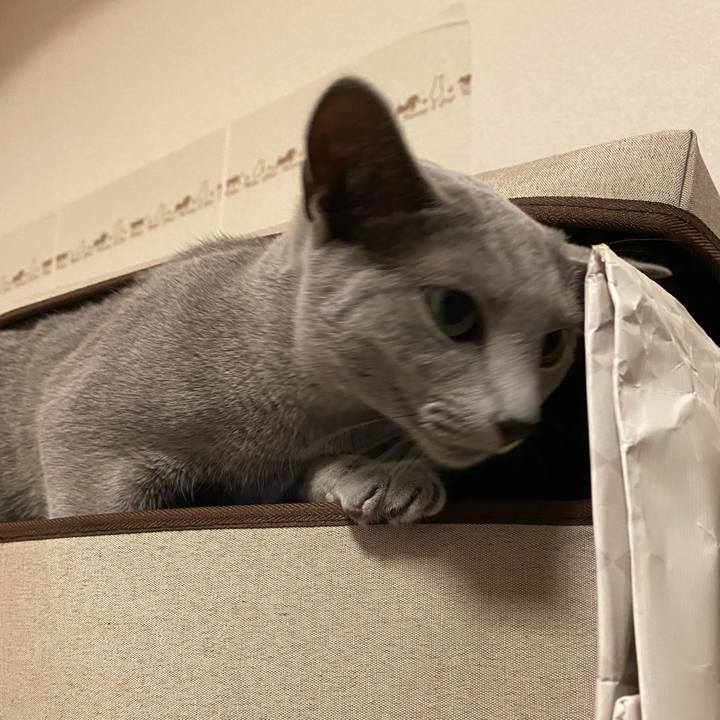 6594c479 cfd0 4ec4 bed2 c210bda873cf 1625612150156