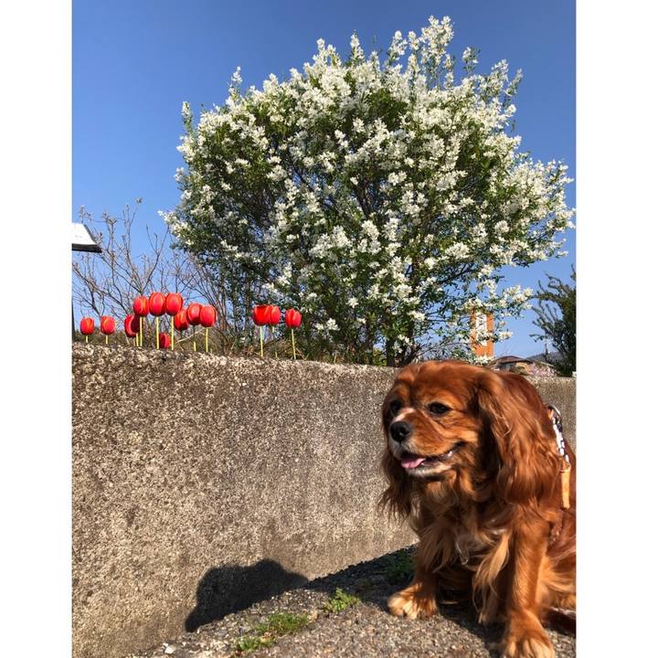 6595180e 42c8 4eb3 a8c4 2a272c393e62 1649548249455