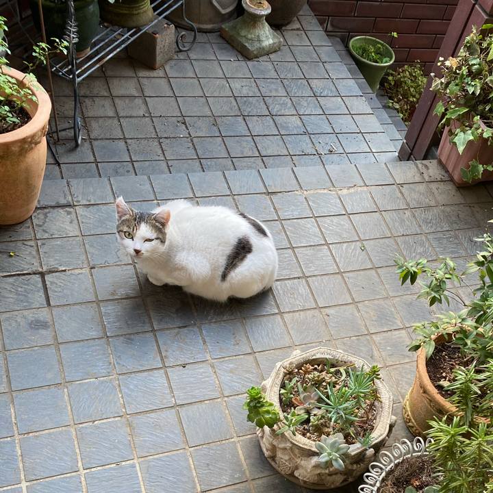 65951c85 f3d9 4ef0 8997 32cf93aafc94 1637035514391