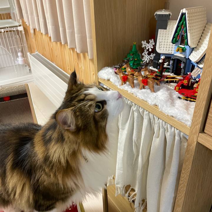 65952834 8896 4533 bc95 18f9deb09976 1701977286556