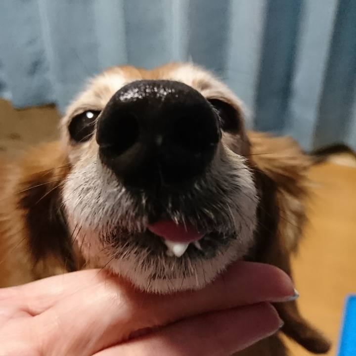 65952b59 68e5 4ff3 80a5 138ad6ab7a17 1516657802685