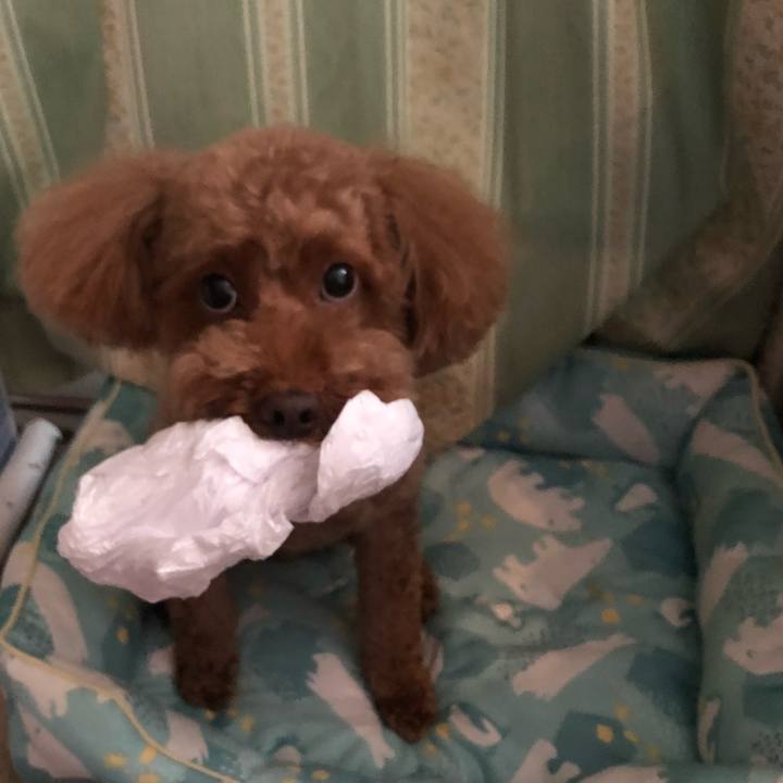 65952d8f ecf9 4b0b b71e da932958868a 1535709752028