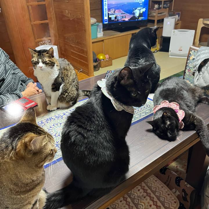 659562f9 7723 48c2 b734 8c174c51092f 1736772730814