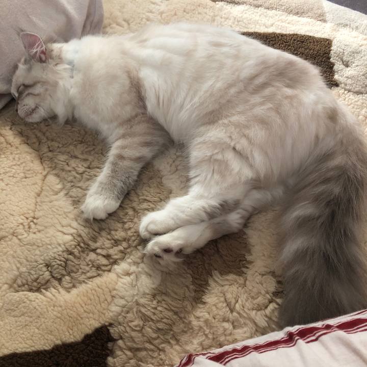 6595dc79 6cf6 423d b677 717ba3f05cef 1674946015757