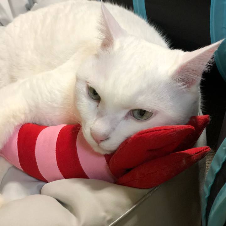 6595e67a 2859 4a53 9361 c11e6d6b8c8d 1639311185783