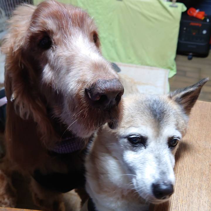 6595ecb2 6923 43a8 9441 4db3c4c07b7c 1731410171000