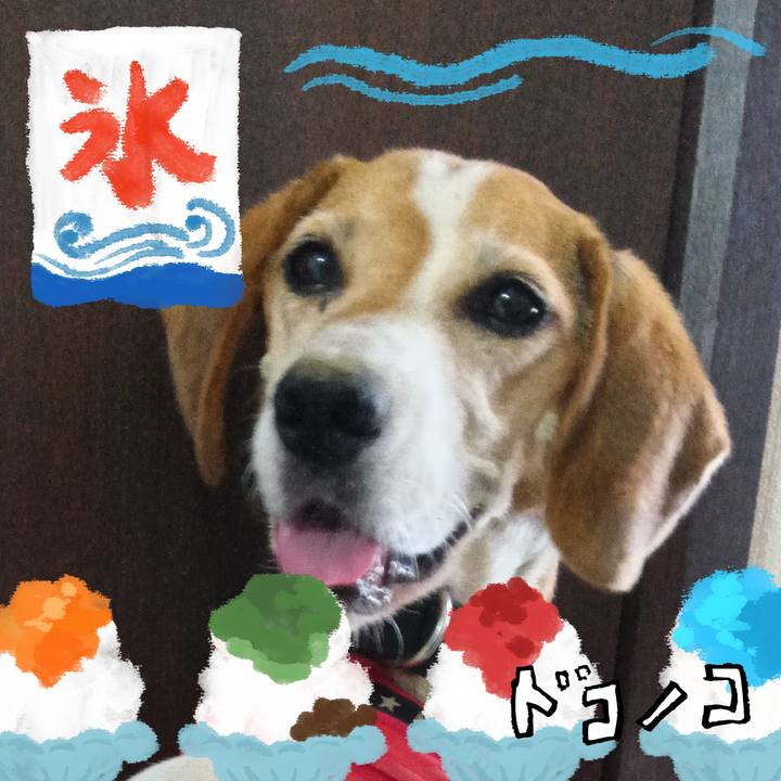 65963bbd e7cf 4470 b45d 954784d27e52 1723205520583