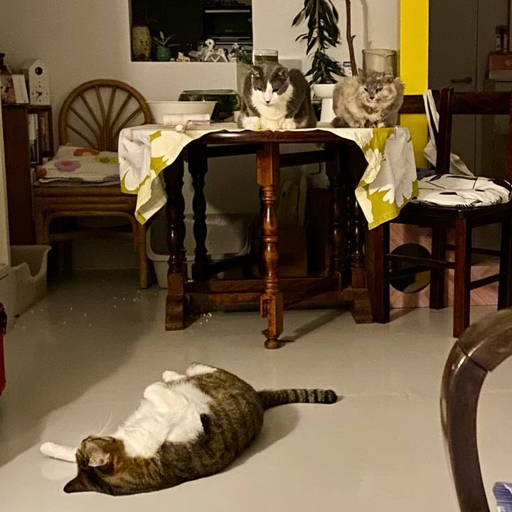 65964a78 830b 4400 8c35 5a78dceb7dfe 1756643943443