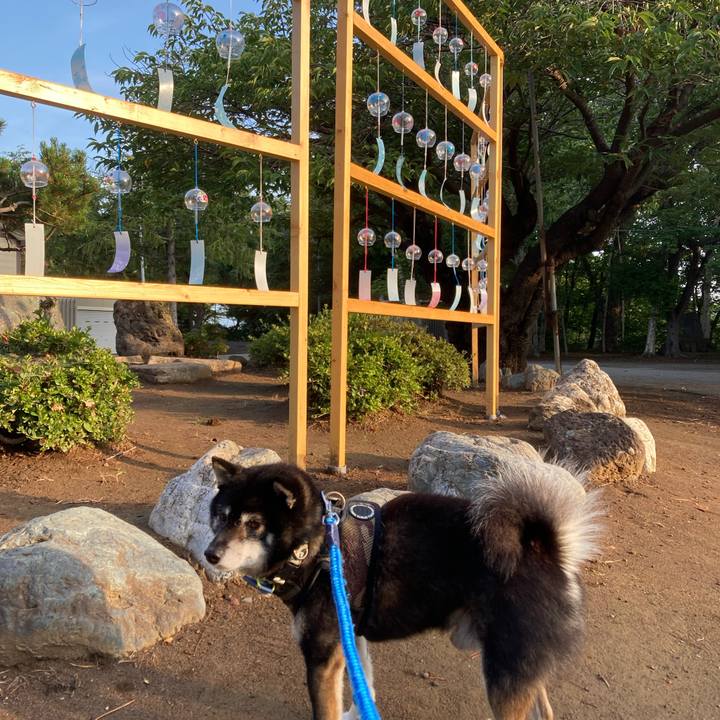 65969d98 9ba8 47cd bdda 45eb8a69da77 1628745475418