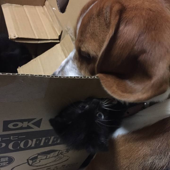 6596b681 c3c2 49c5 8ef0 2f1961c98447 1526049841270