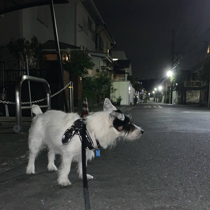 6596e33b 76c8 48b5 868e 87d63a276908 1721824577707