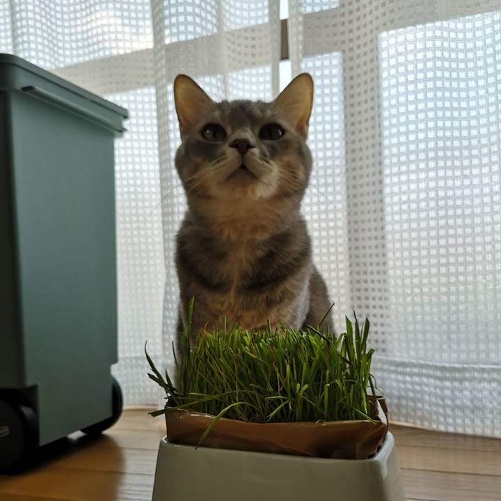 6596f057 0b70 4689 aab8 b098f8356c19 1556341993246