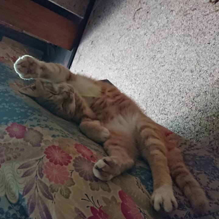 6596f5bb bb6a 42d5 8f02 14e0b07cc203 1595475837154