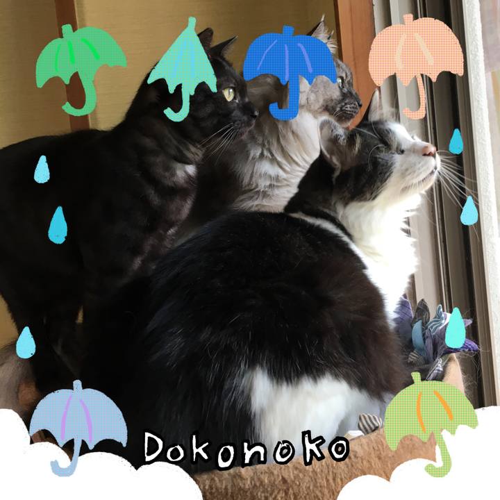 659726dd f588 4d0c bb48 d505bc967689 1718130973612