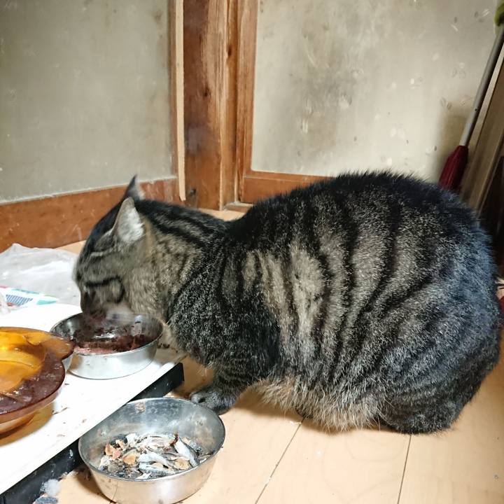 65972917 df2a 41e8 920c e9f82007d7ba 1636549205952