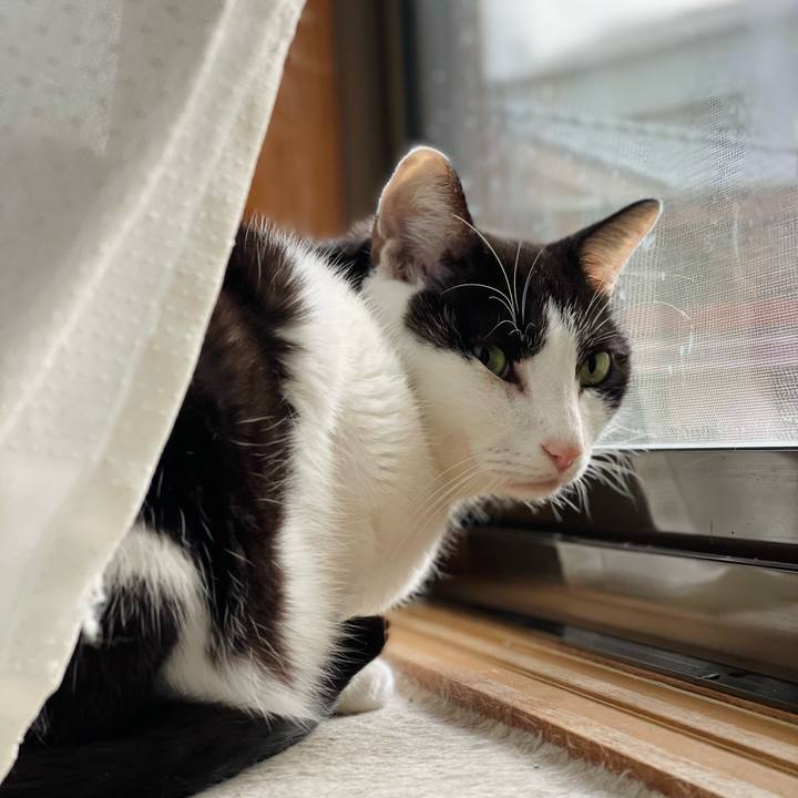 65973673 22b3 409b 9d08 a47cffb2a6c3 1639018632343