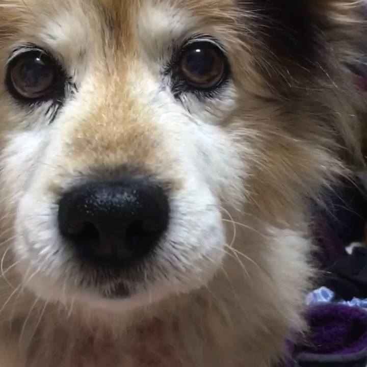 65975c31 f366 4763 b731 0a5c2435cfa0 1608557657186