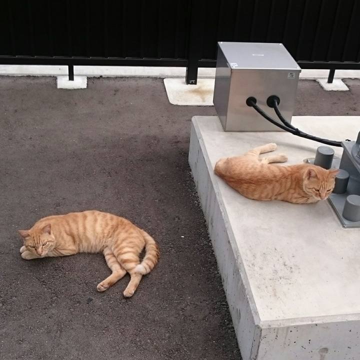 6597e7d3 869e 41ae ad3d 7a1cb0635fa0 1534218719016