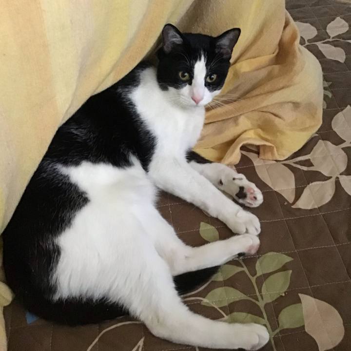 6597f603 edc8 4624 b5de 7cf3630d9d4f 1652679757050