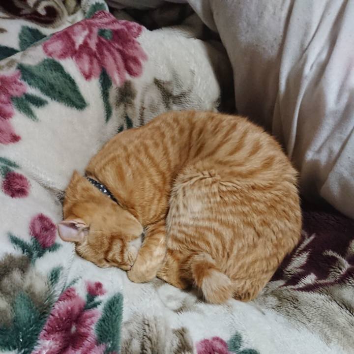 65980032 8524 4565 a32d b6b24eac5379 1646914455395