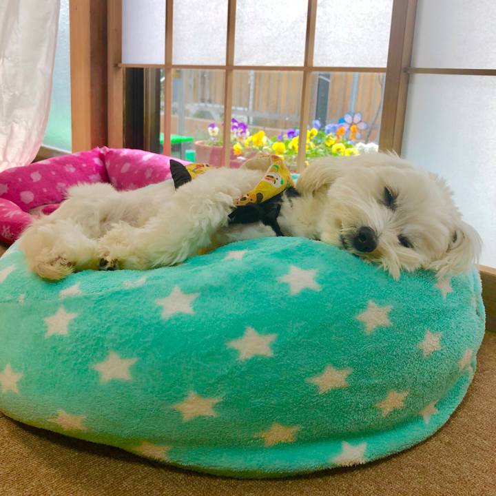 65980fad 21db 486f b153 006d708f6458 1545718769772