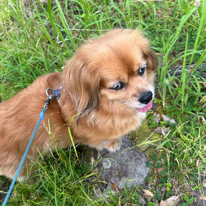 659816e5 974f 4cc6 9658 cda3f163d51d 1718413299925