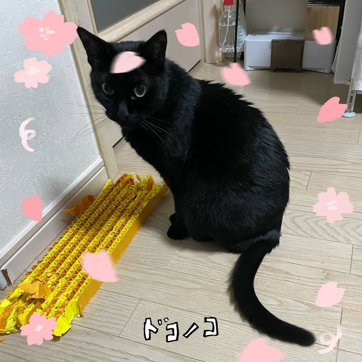 65981c5c a16a 435a b2bd 145d9aa40678 1744291861121