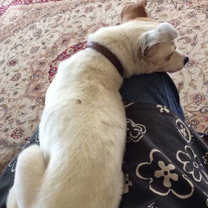 6598320c c588 43f4 a775 531e8e8b4353 1765594145685